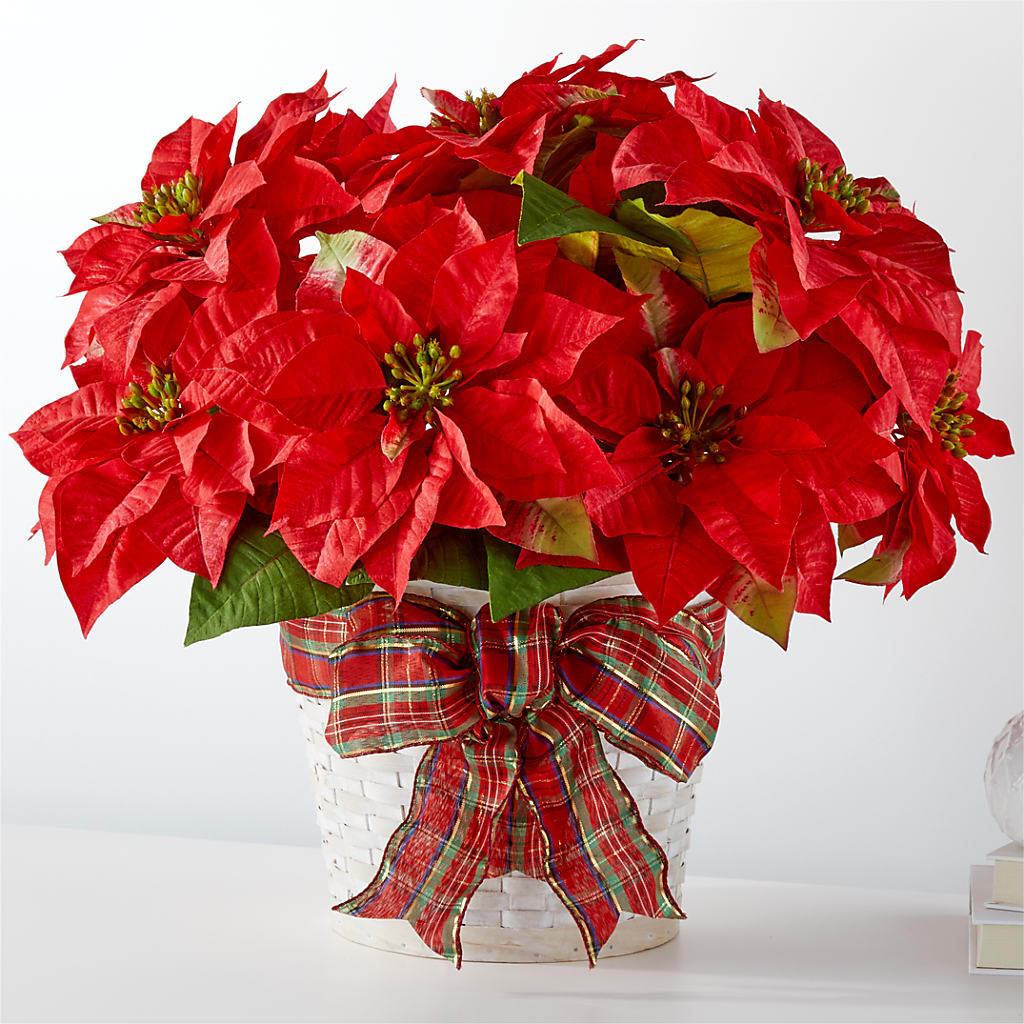 Happiest Holidays Poinsettia – Flowers Atlanta, Atlanta GA