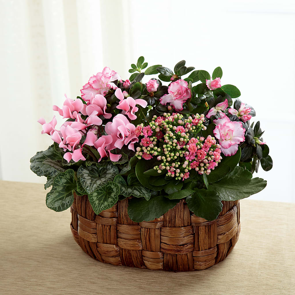 Pink Assortment – Flowers Atlanta, Atlanta GA