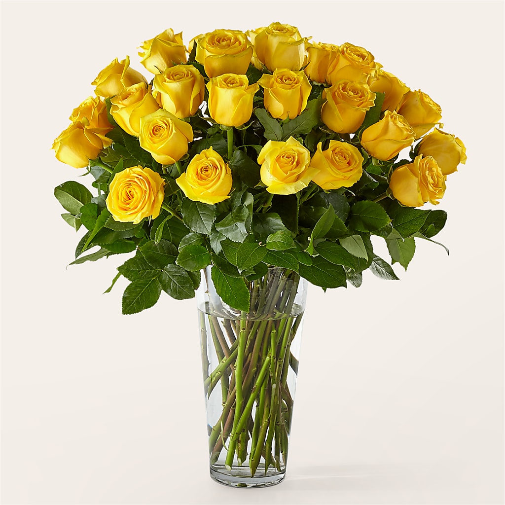 Long Stem Yellow Rose Bouquet – Flowers Atlanta, Atlanta GA