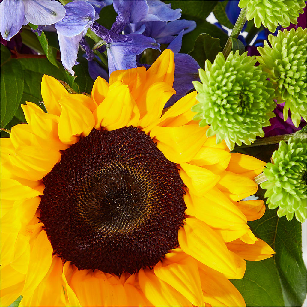 Catching Rays Bouquet – Flowers Atlanta, Atlanta GA
