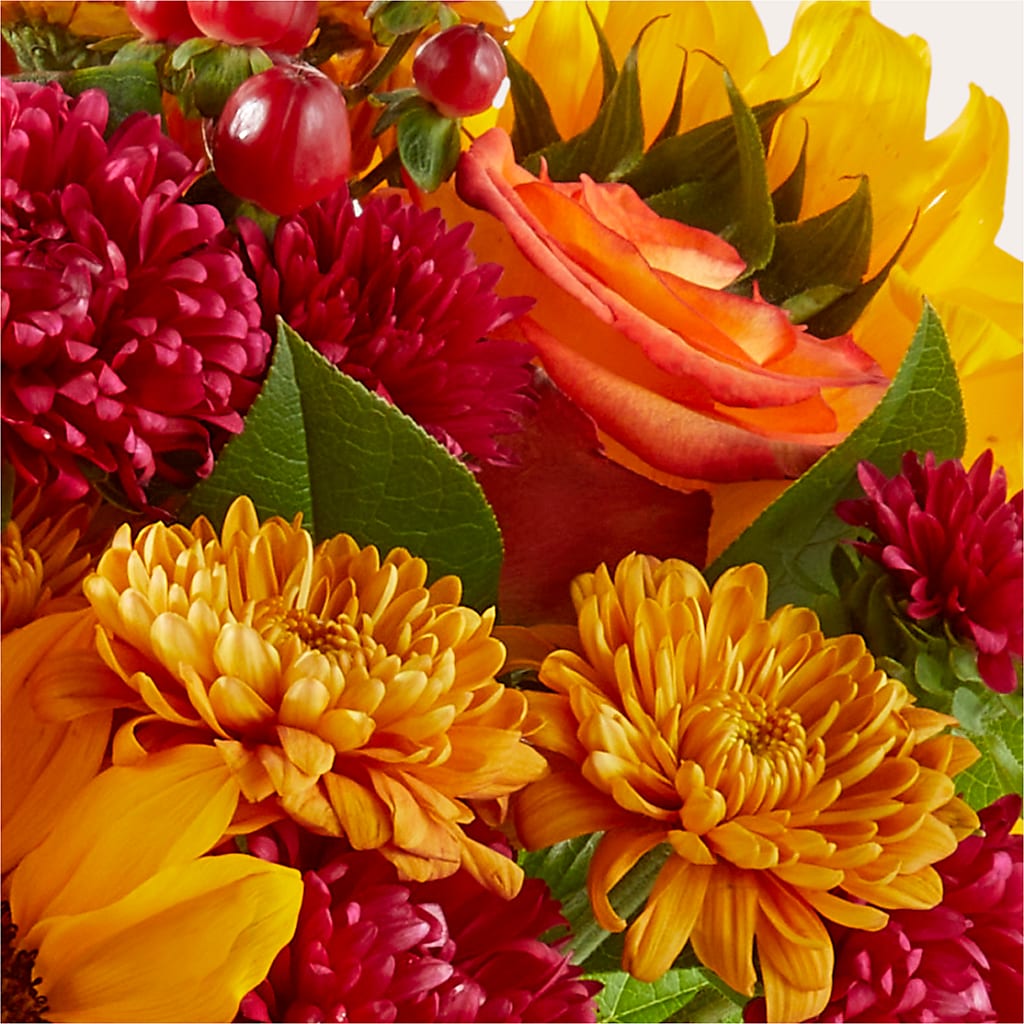 Sweater Season - A Florist Original – Flowers Atlanta, Atlanta GA