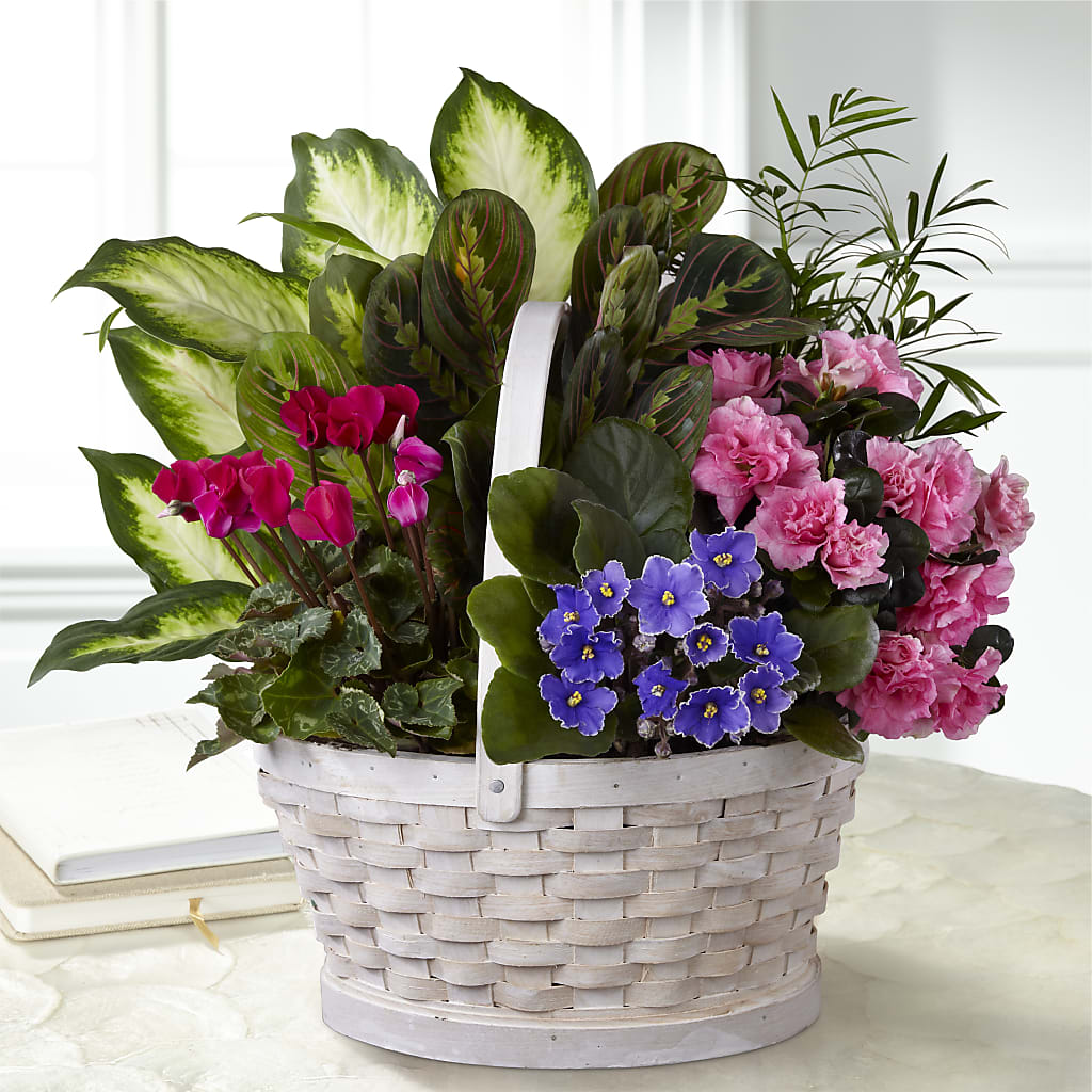 Peaceful Garden Planter – Flowers Atlanta, Atlanta GA