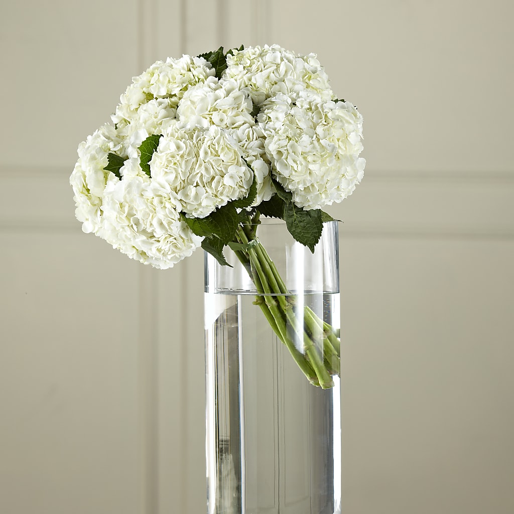 White Hydrangea Hand-Tied Bouquet – Flowers Atlanta, Atlanta GA