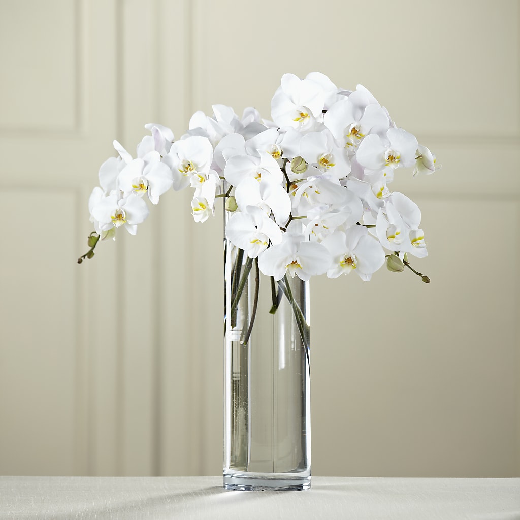 White Phalaenopsis Bouquet – Flowers Atlanta, Atlanta GA