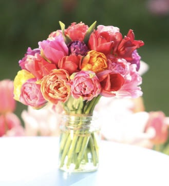 Luxe Double Peony Tulips