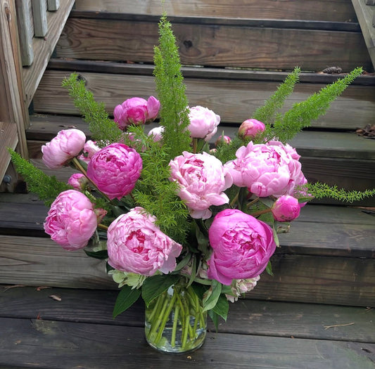 Peonies in Bloom