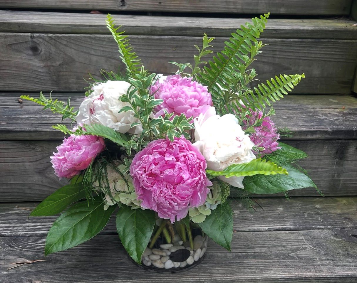 Peonies in Bloom