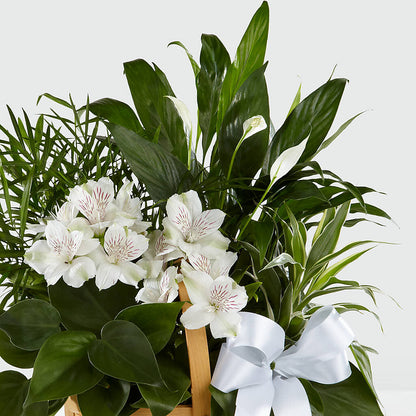 Peace & Serenity Dishgarden –  Flowers Atlanta, Atlanta GA