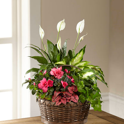 Dream in Pink Dishgarden –  Flowers Atlanta, Atlanta GA