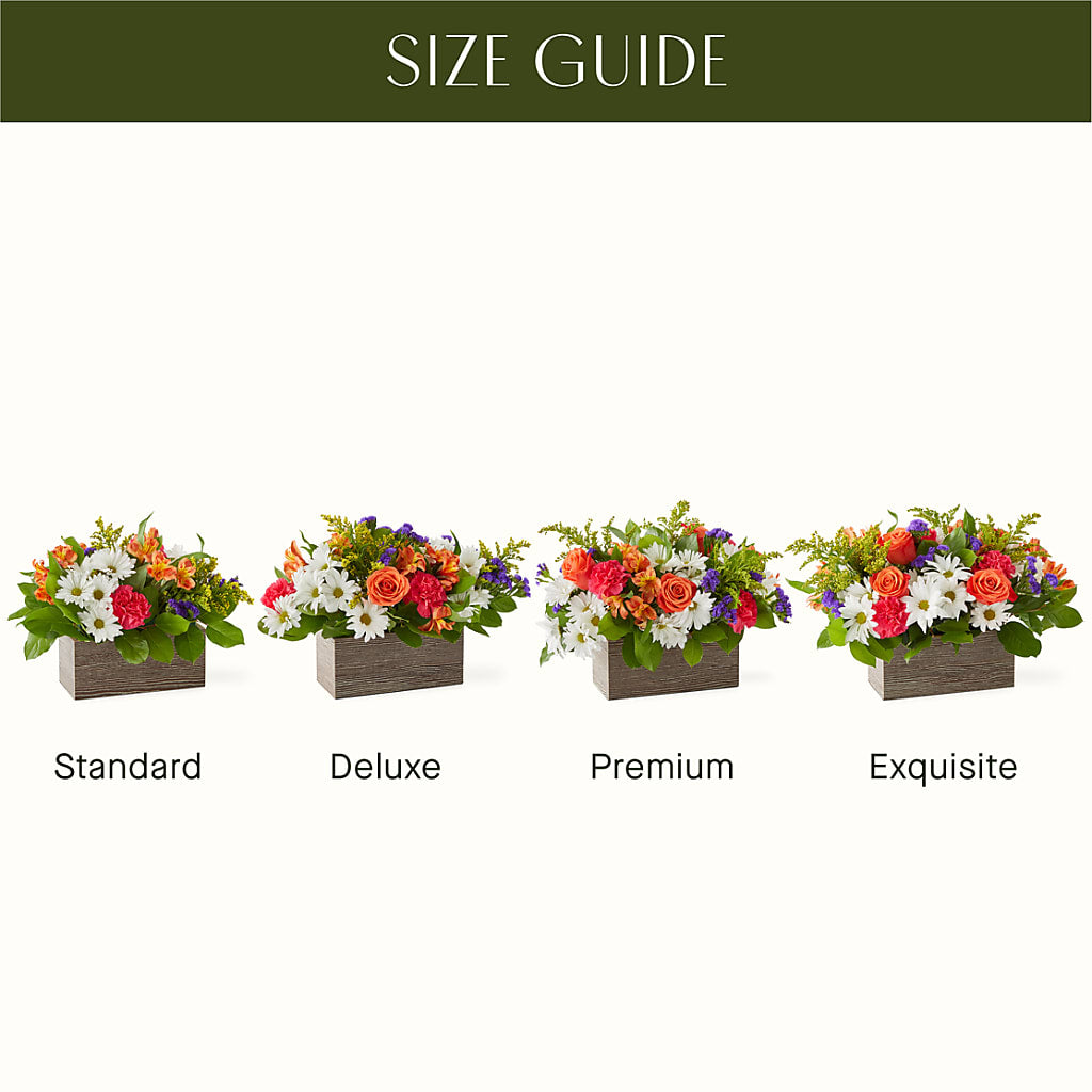 Oopsie Daisy Box Bouquet –  Flowers Atlanta, Atlanta GA