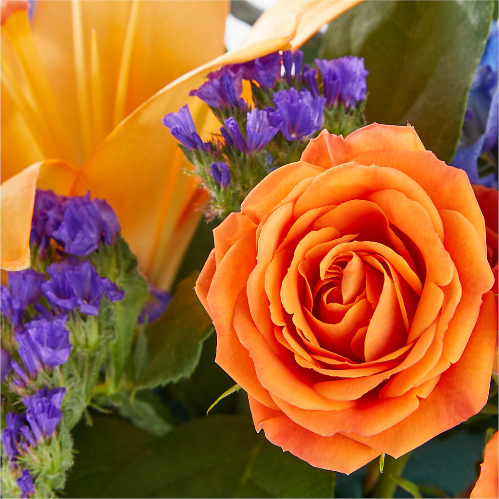 Radiant Citrus Box Bouquet –  Flowers Atlanta, Atlanta GA