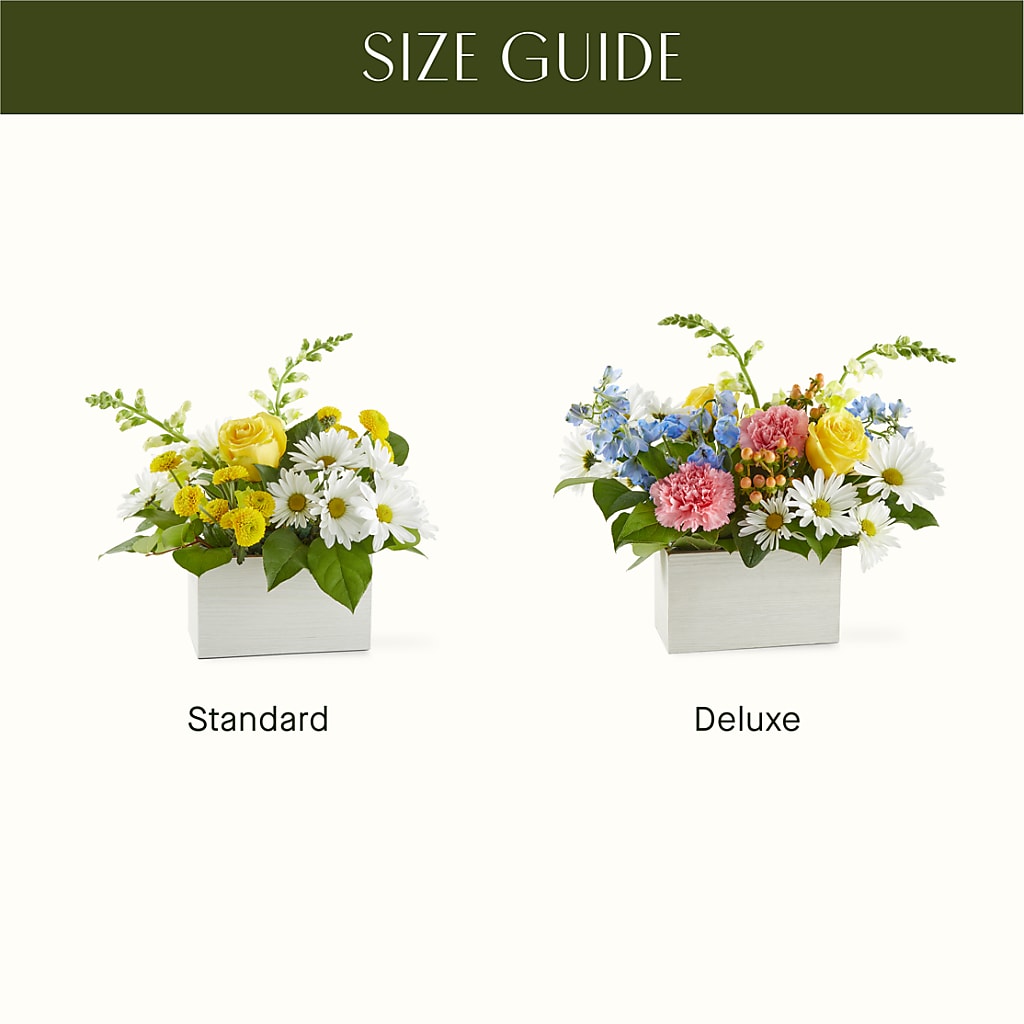 Sun Salutation Box Bouquet –  Flowers Atlanta, Atlanta GA