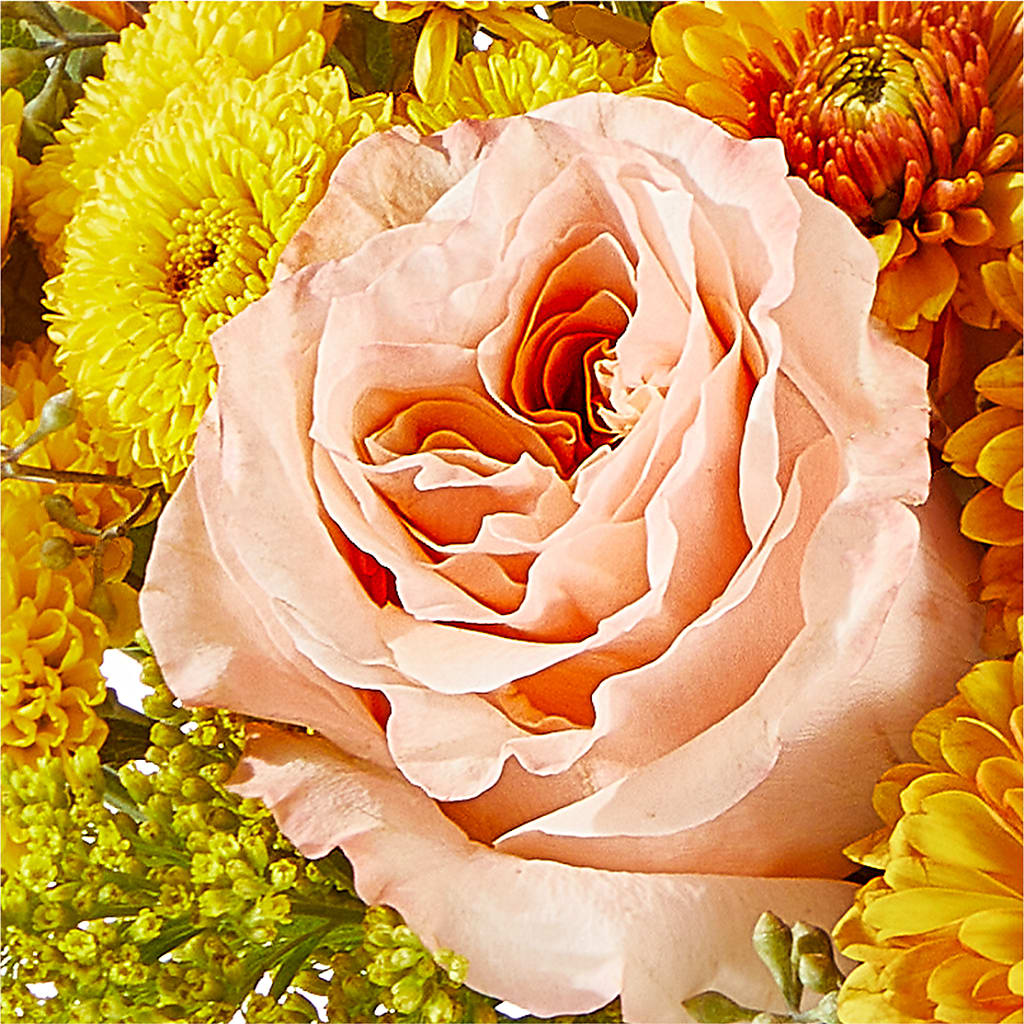 Peachy Pumpkin –  Flowers Atlanta, Atlanta GA