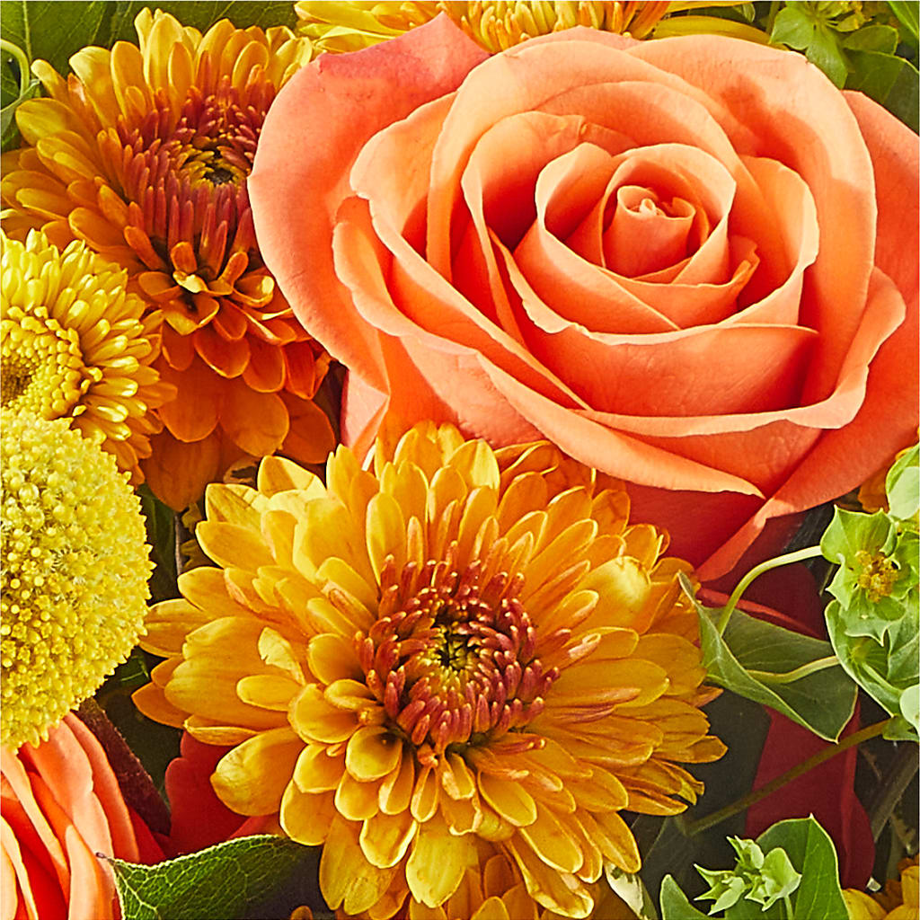 Gourdgeous Pumpkin –  Flowers Atlanta, Atlanta GA
