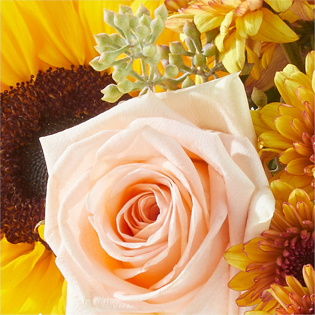 Pumpkin to Talk About Bouquet –  Flowers Atlanta, Atlanta GA