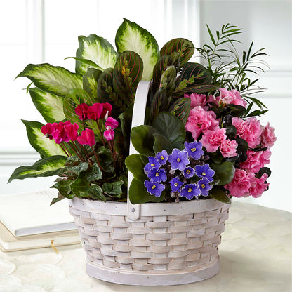 Peaceful Garden Planter –  Flowers Atlanta, Atlanta GA
