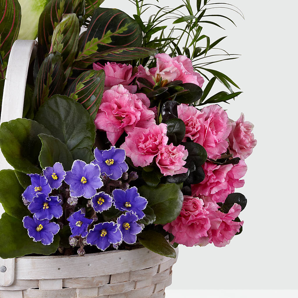 Peaceful Garden Planter –  Flowers Atlanta, Atlanta GA