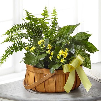 Always Dear Dishgarden –  Flowers Atlanta, Atlanta GA