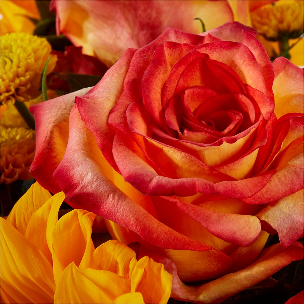 Picnic in the Park Bouquet –  Flowers Atlanta, Atlanta GA