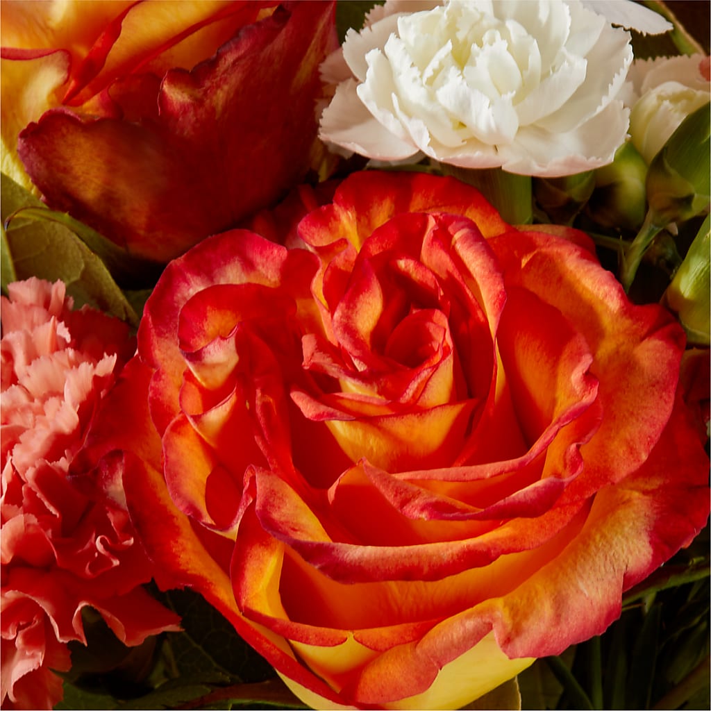 Apricot Glow Bouquet –  Flowers Atlanta, Atlanta GA