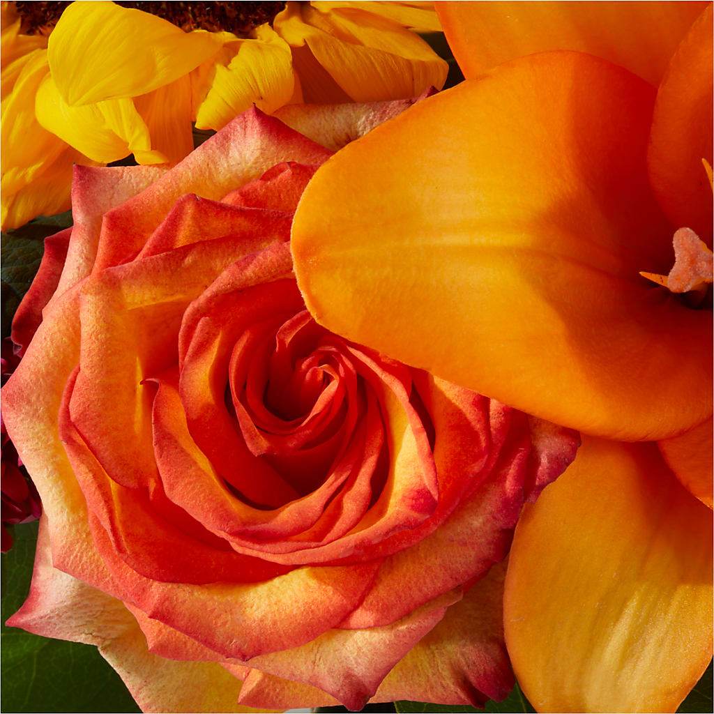 Grateful Centerpiece –  Flowers Atlanta, Atlanta GA