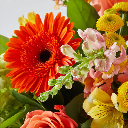 Autumn Sunshine Bouquet –  Flowers Atlanta, Atlanta GA