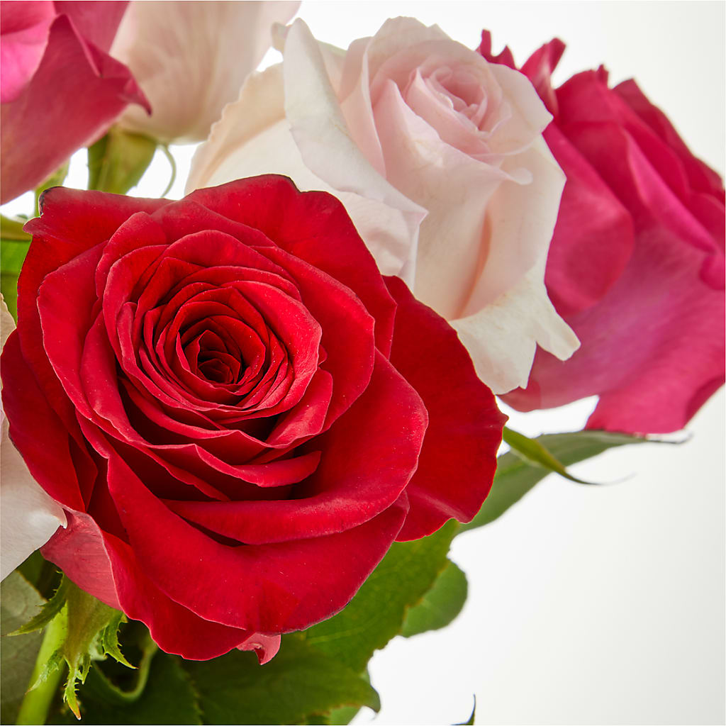 Charming Rose Bouquet –  Flowers Atlanta, Atlanta GA