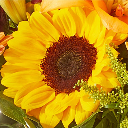 Seasons Change Bouquet –  Flowers Atlanta, Atlanta GA