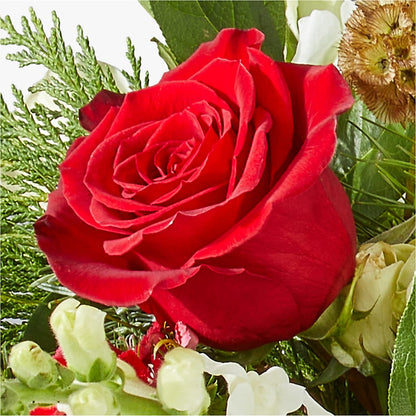 Deck the Halls Bouquet –  Flowers Atlanta, Atlanta GA