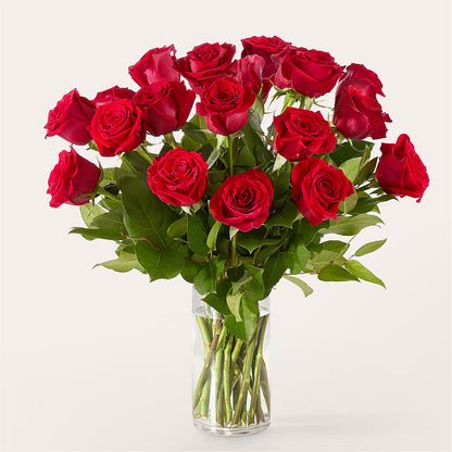 The One Red Rose Bouquet –  Flowers Atlanta, Atlanta GA