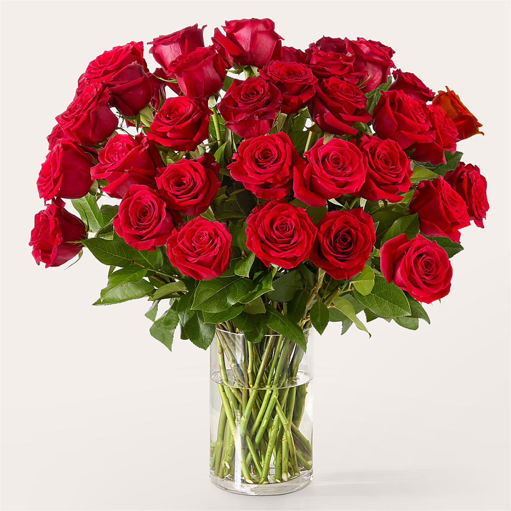 The One Red Rose Bouquet –  Flowers Atlanta, Atlanta GA