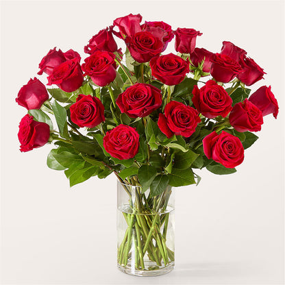 The One Red Rose Bouquet –  Flowers Atlanta, Atlanta GA