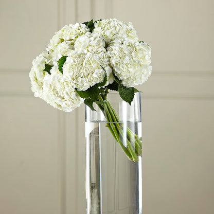 White Hydrangea Hand-Tied Bouquet –  Flowers Atlanta, Atlanta GA