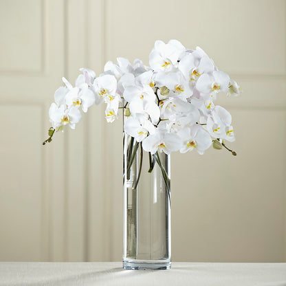 White Phalaenopsis Bouquet –  Flowers Atlanta, Atlanta GA